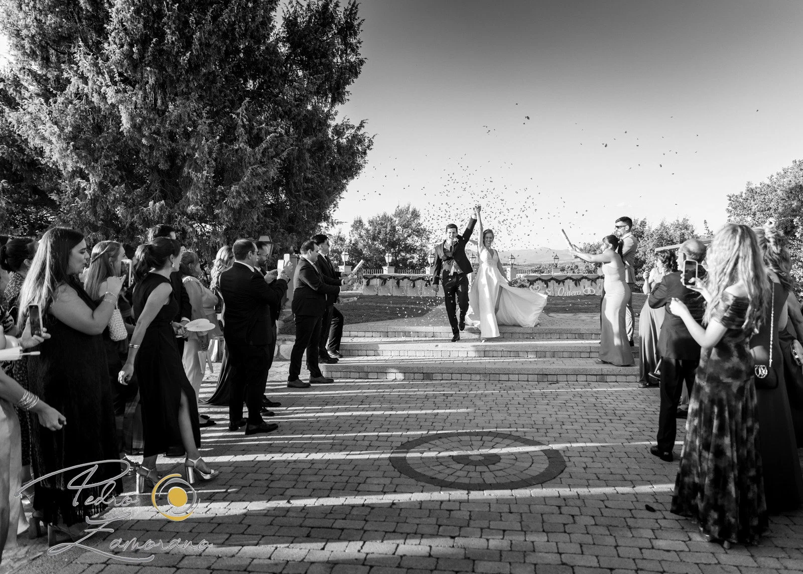 Salida novios invitados blanco negro en Aldea Santillana, Madrid.