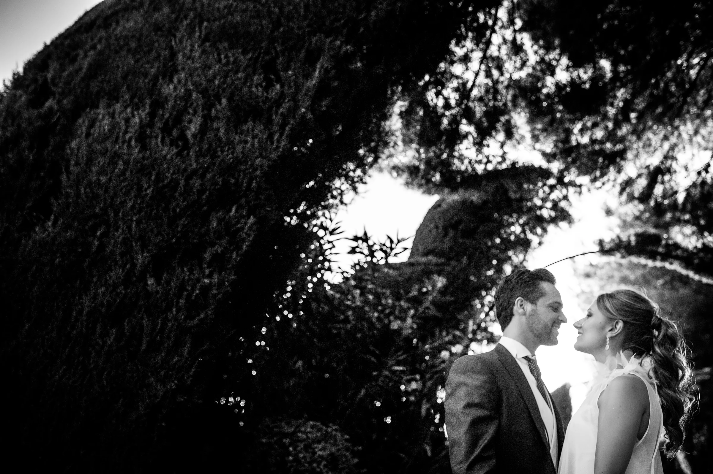 Retrato en blanco y negro de los novios entre los jardines de Cigarral de las Mercedes.