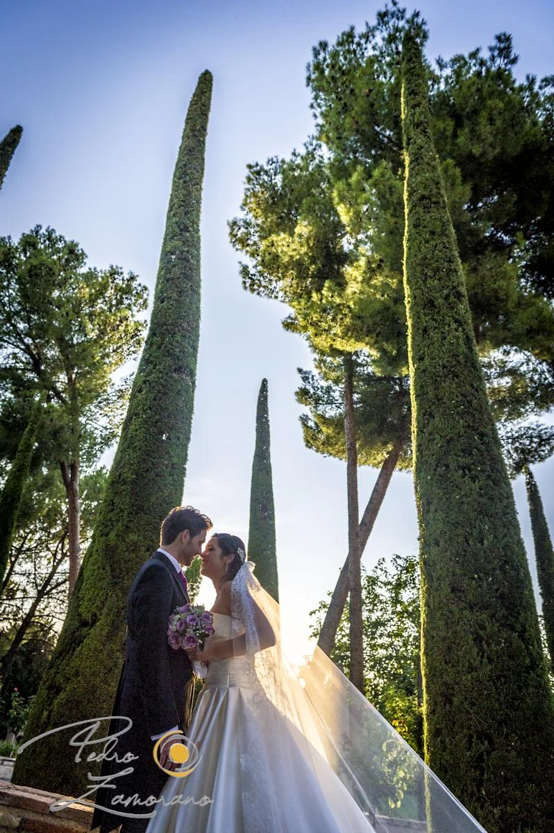 Novios a contraluz entre árboles y cipreses del jardín.