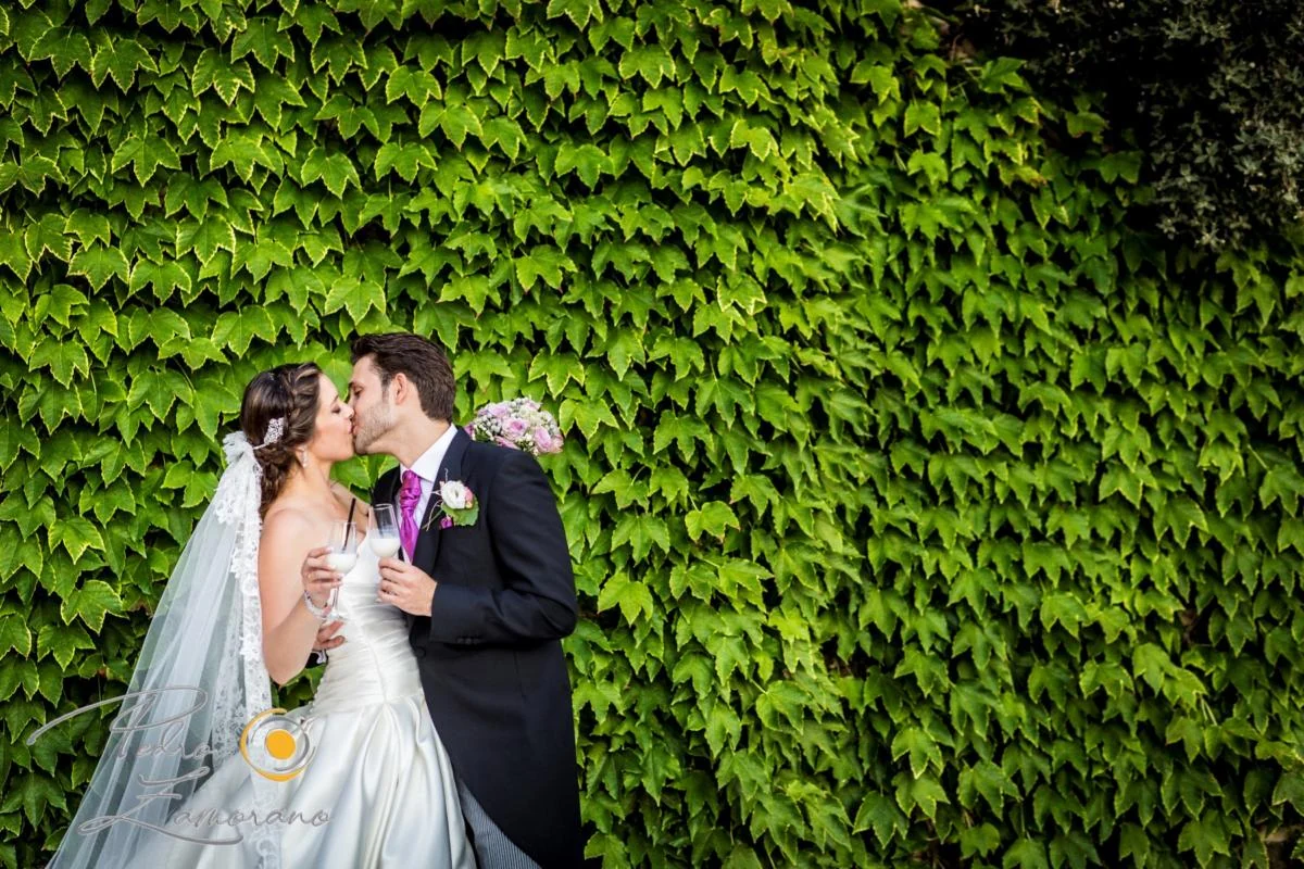 Novios besándose delante de un muro cubierto de hiedra.