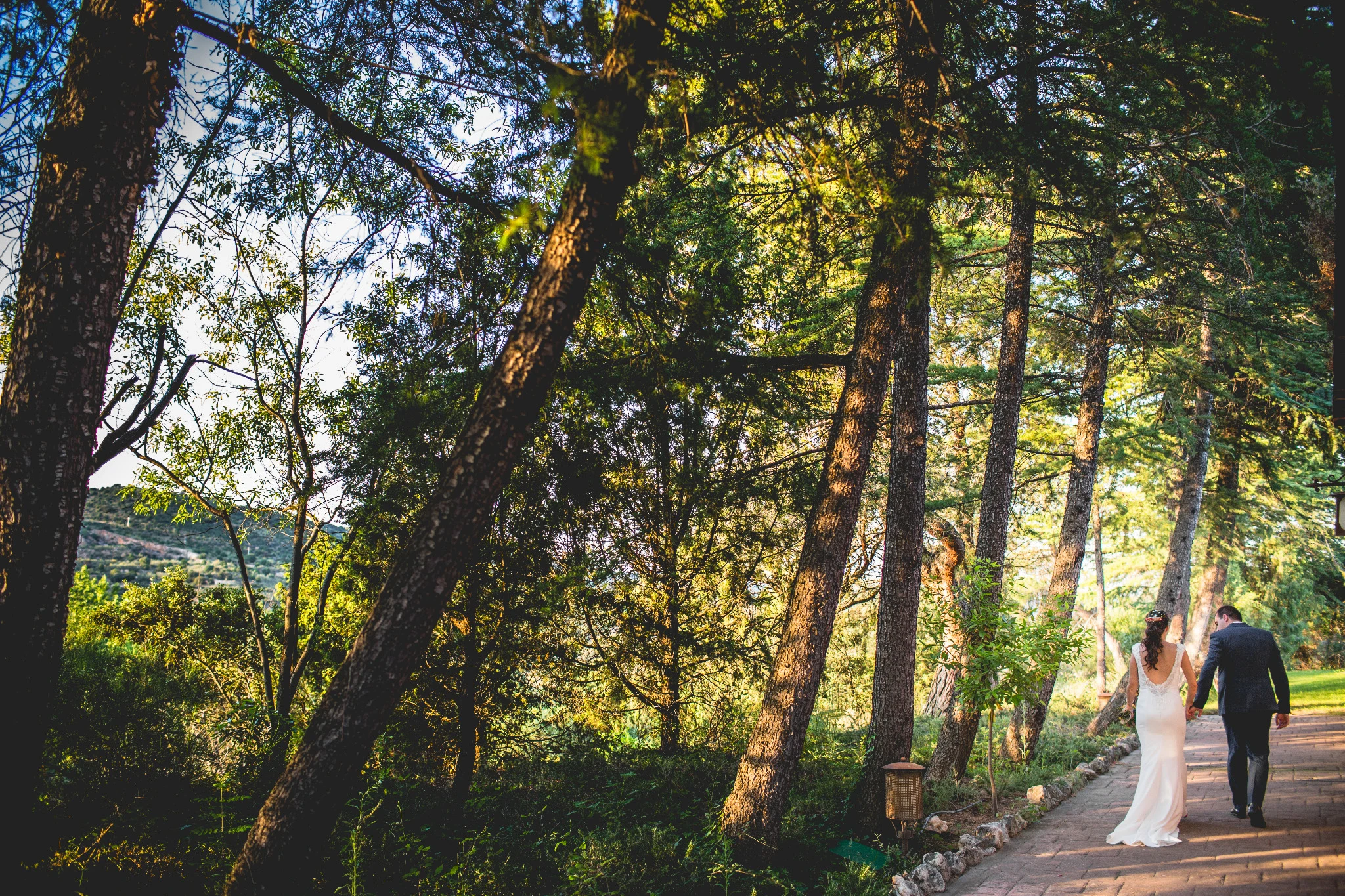 Novios caminan de la mano por un sendero entre árboles iluminados por el sol.