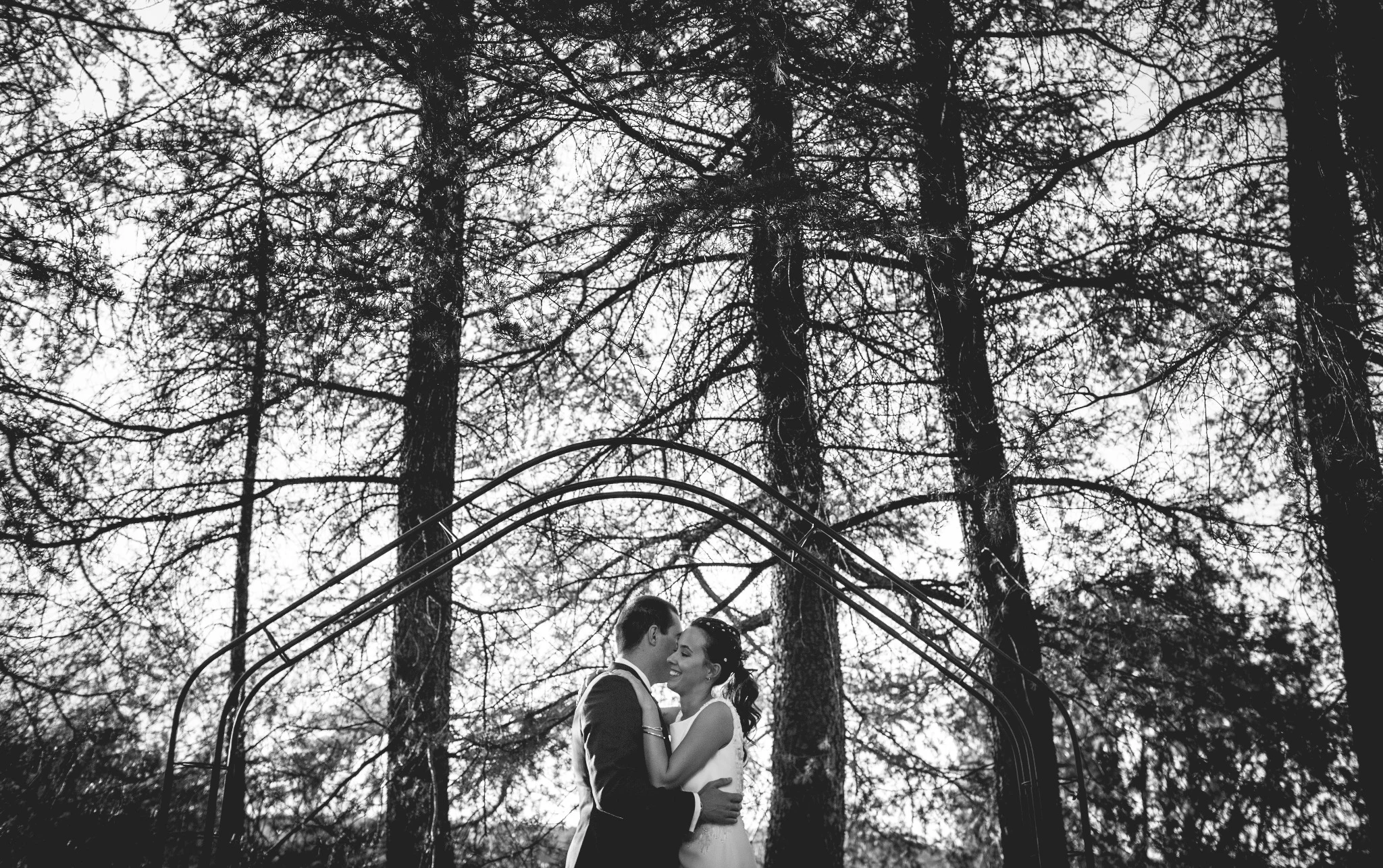 Novios abrazados bajo una estructura metálica entre árboles en blanco y negro.