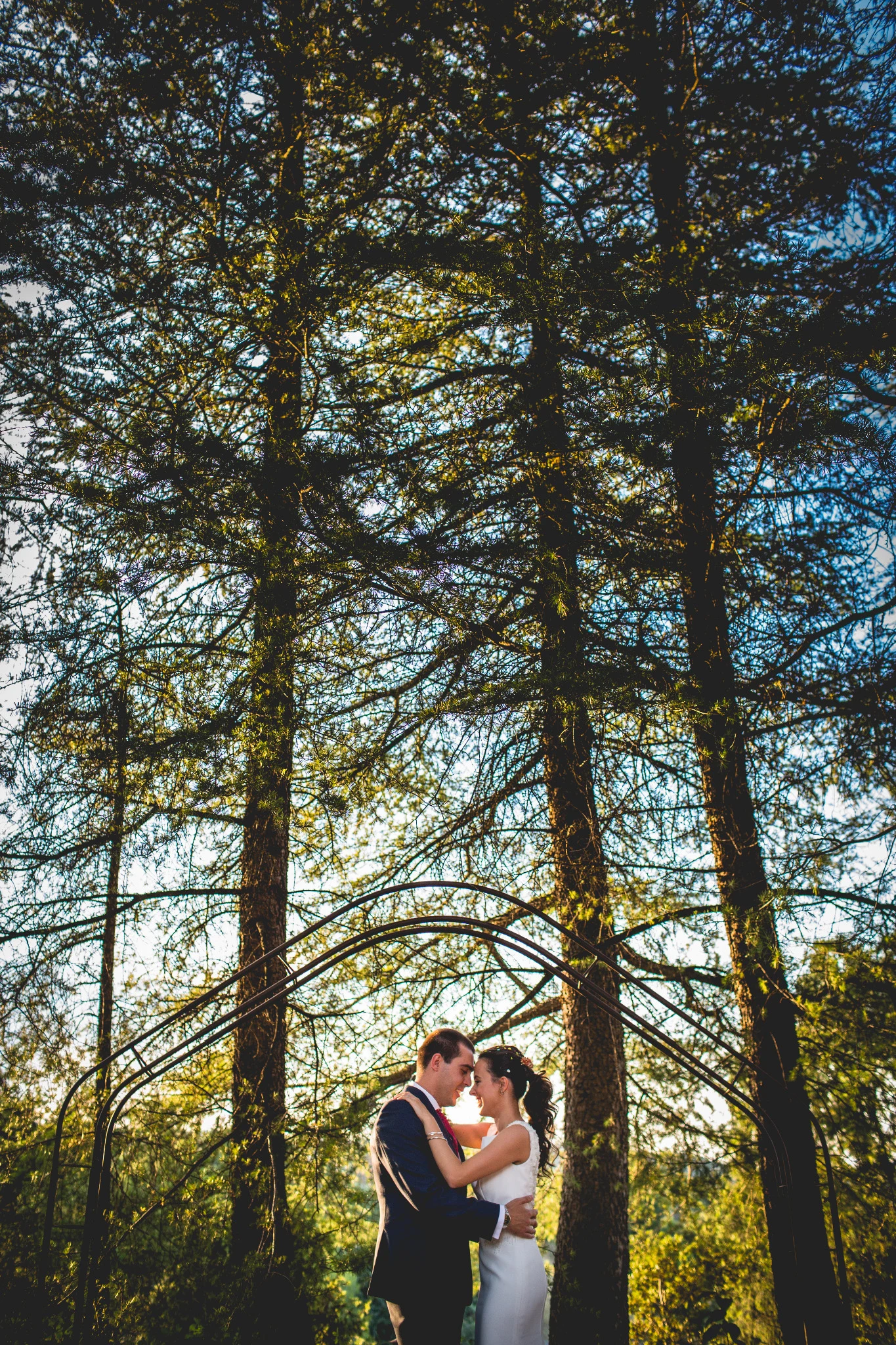 Retrato vertical de los novios abrazados bajo un arco rodeado de altos árboles.