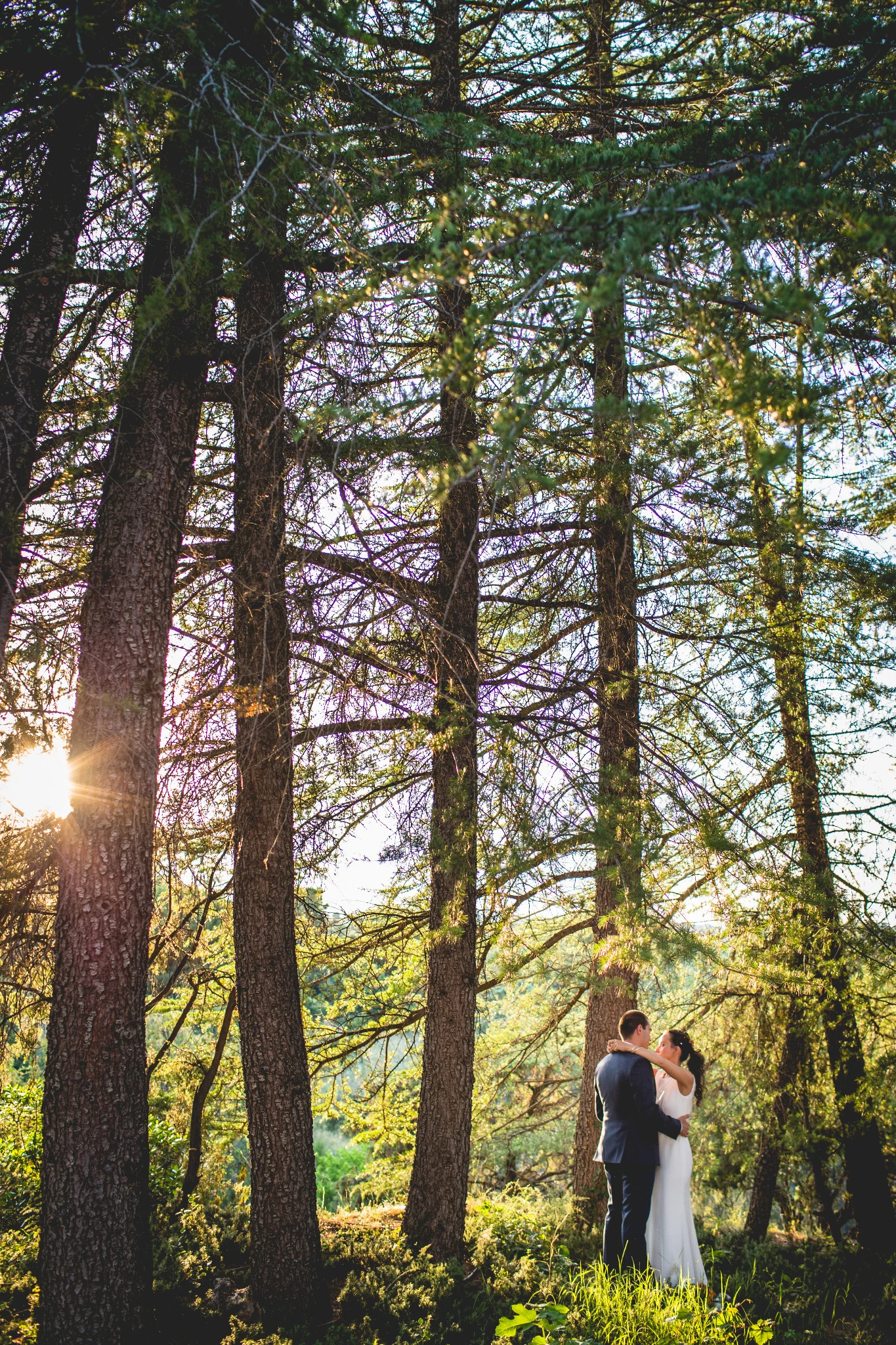 Novios abrazados en un bosque con luz dorada filtrándose entre los árboles.