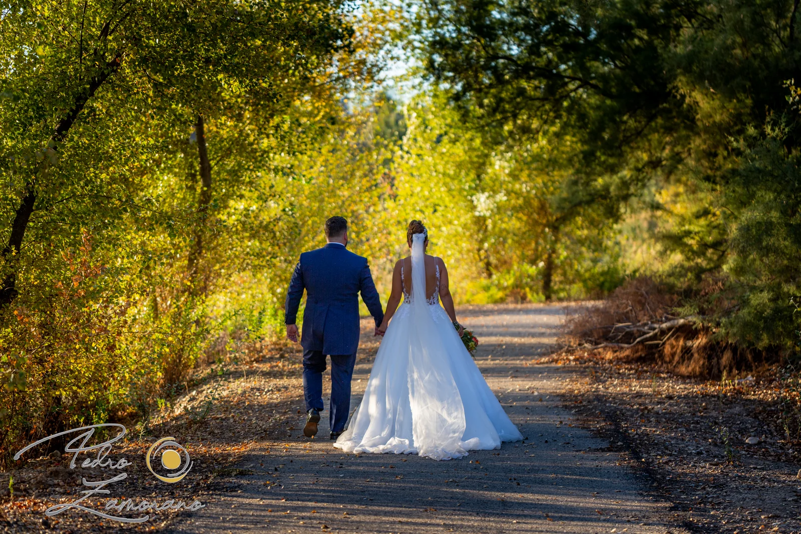 Novios caminando por un sendero arbolado en una boda en Complejo La Cigüeña