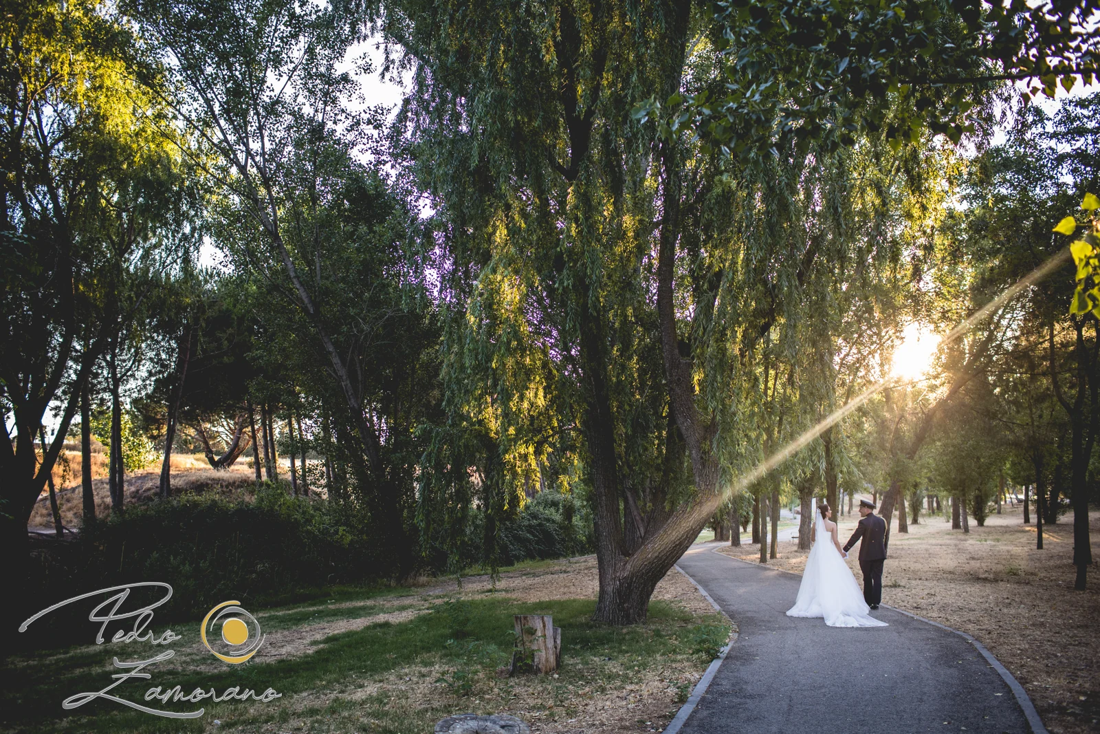 Novios caminando por sendero arbolado durante una boda en Mirador de Cuatro Vientos.