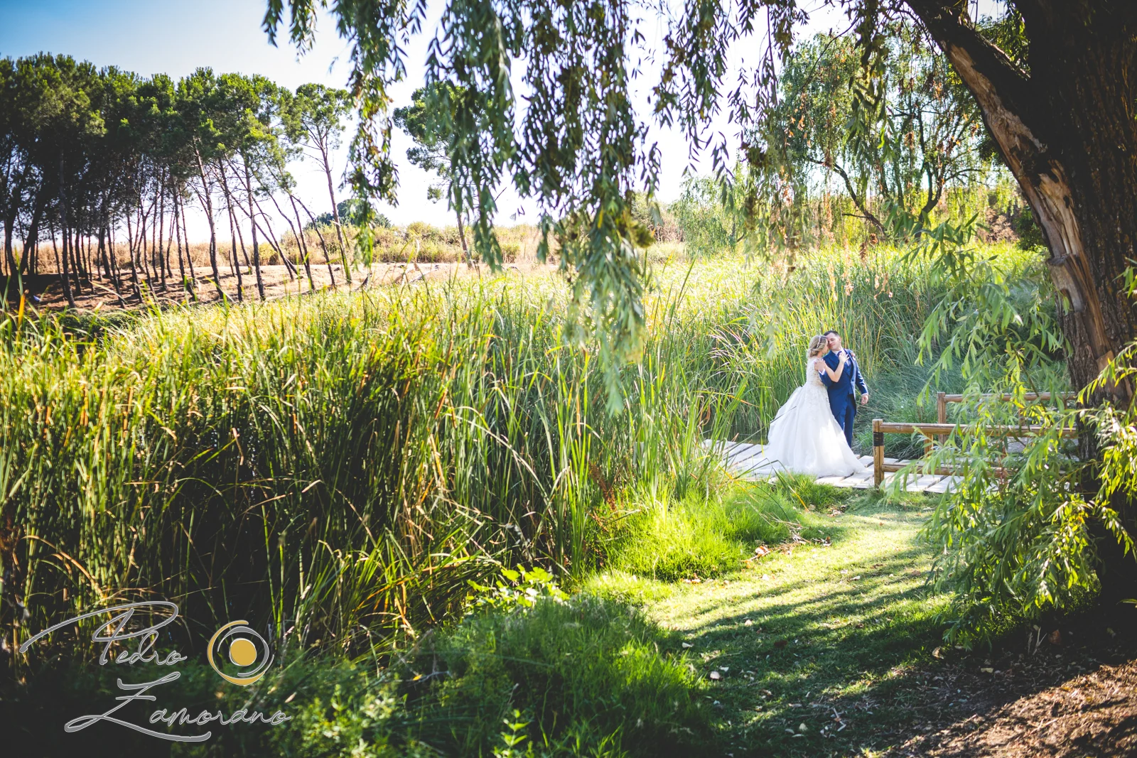 Novios entre vegetacion y sendero durante una boda en Mirador de Cuatro Vientos.