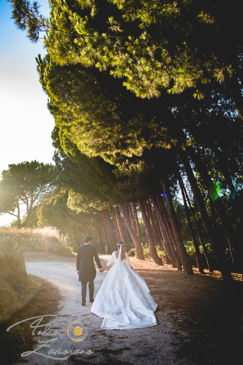 Novios caminando por camino entre pinos durante una boda en Mirador de Cuatro Vientos.