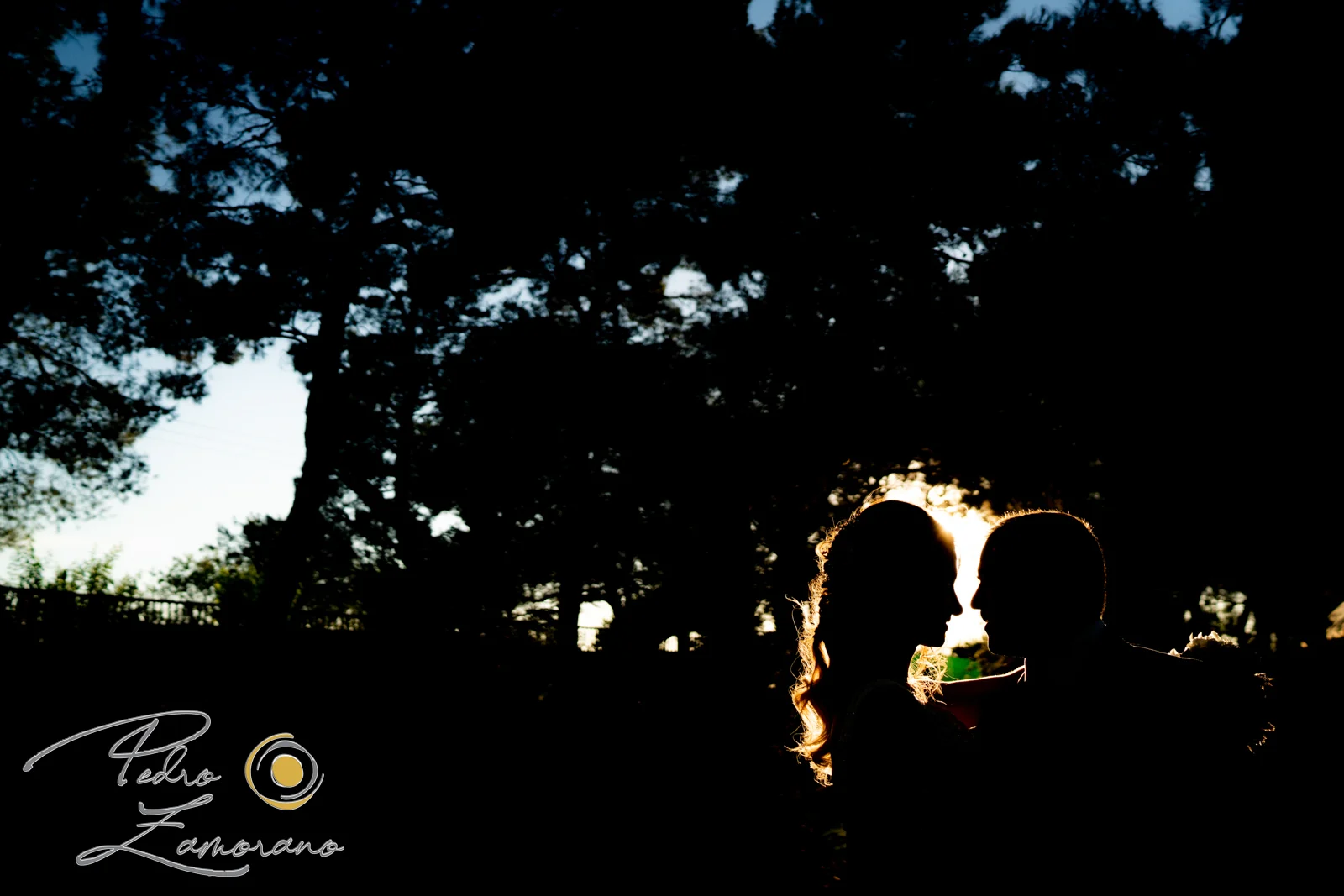 Siluetas de novios al contraluz durante una boda en Mirador de Cuatro Vientos.