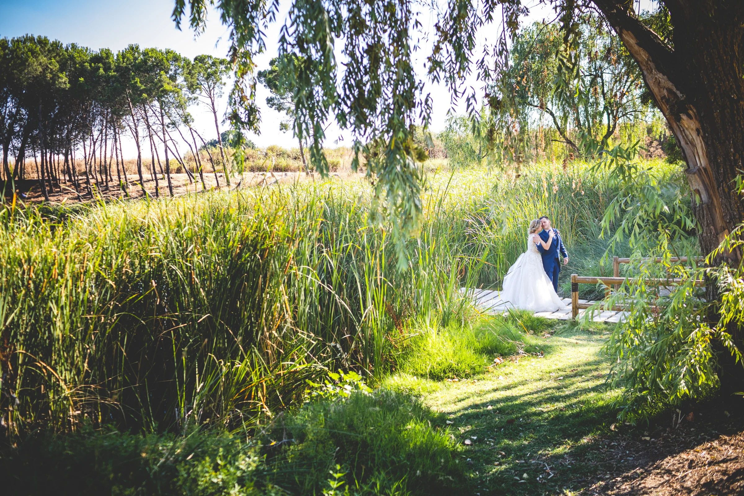 Novios abrazados entre juncos durante una boda en Mirador de Cuatro Vientos.