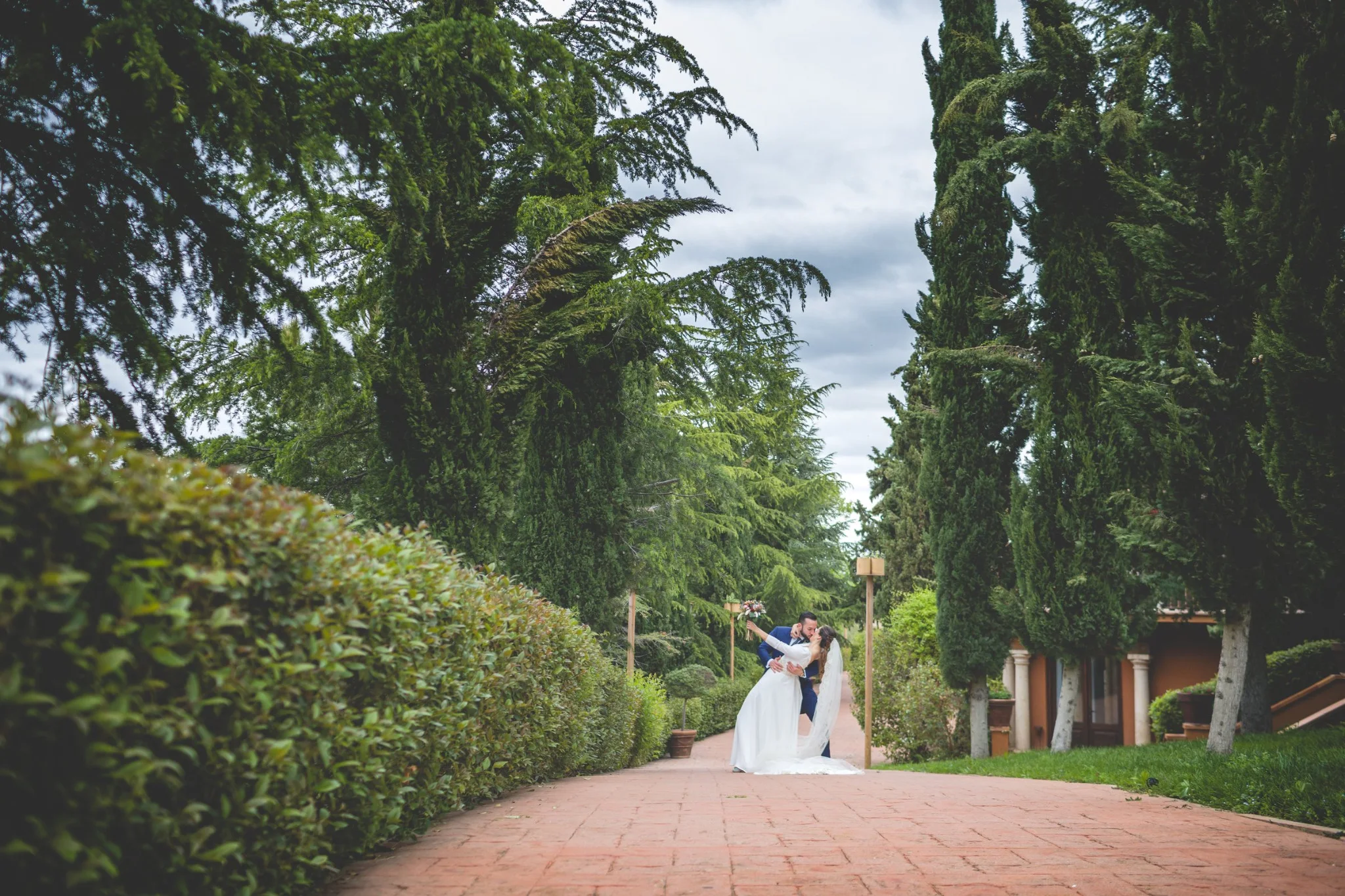 Pareja caminando por una avenida arbolada en una boda en Peñarrubia de Araceli, fotografía de Pedro Zamorano.