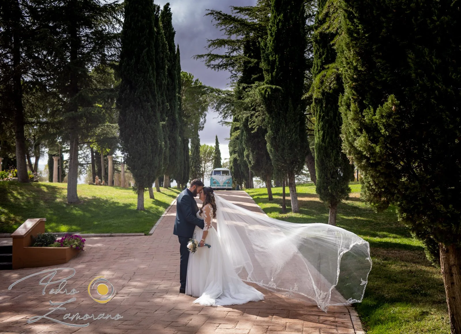 Novios con el velo extendido en una avenida arbolada en una boda en Peñarrubia de Araceli, fotografía de Pedro Zamorano.