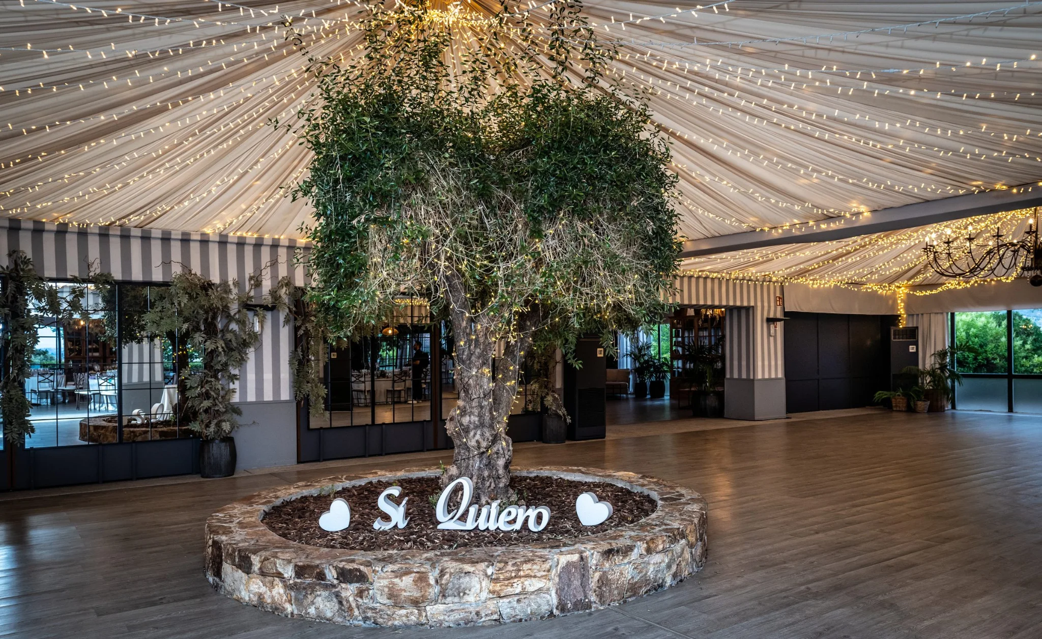 Pista de baile decorada con luces y vegetación en una boda en Peñarrubia de Araceli, fotografía de Pedro Zamorano.