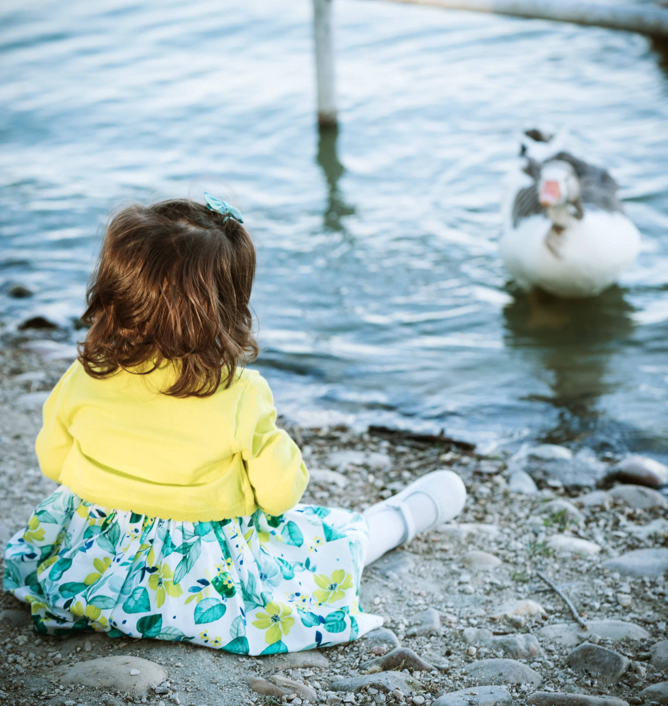 Niña pequeña sentada junto al agua observa un pato que se acerca nadando.
