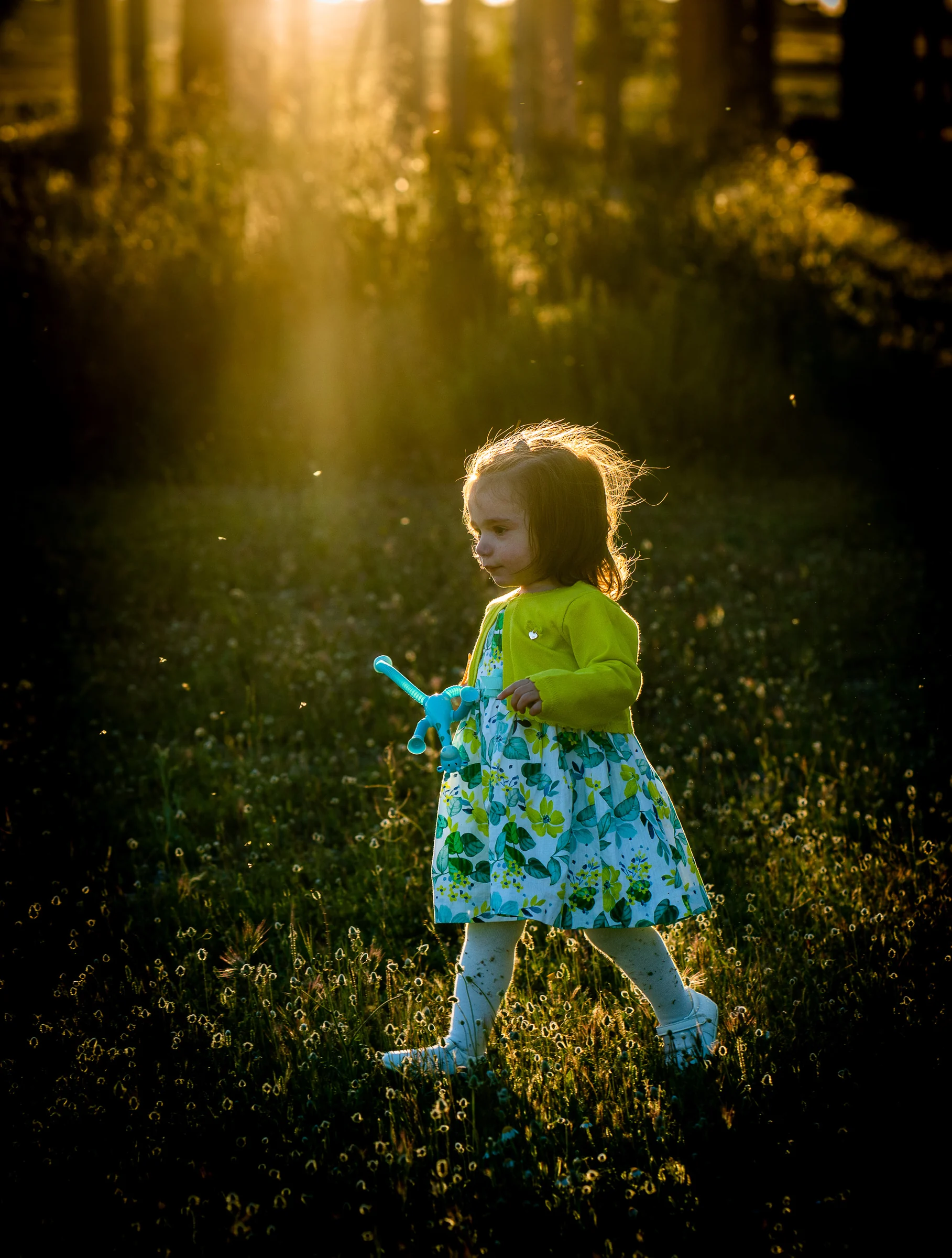 Niña pequeña camina entre la hierba bajo un haz de luz dorada mientras sostiene un juguete.
