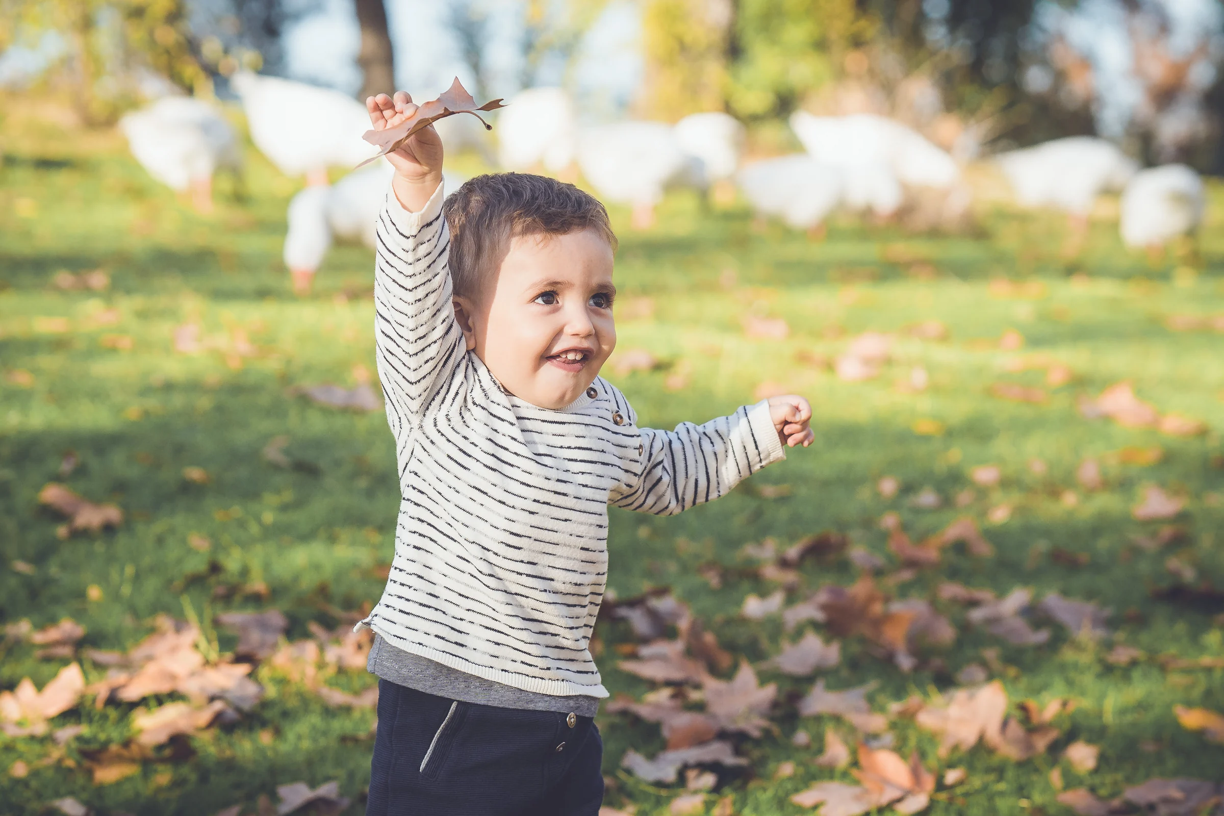 Niño pequeño sonríe mientras juega con una hoja seca en un parque de otoño.