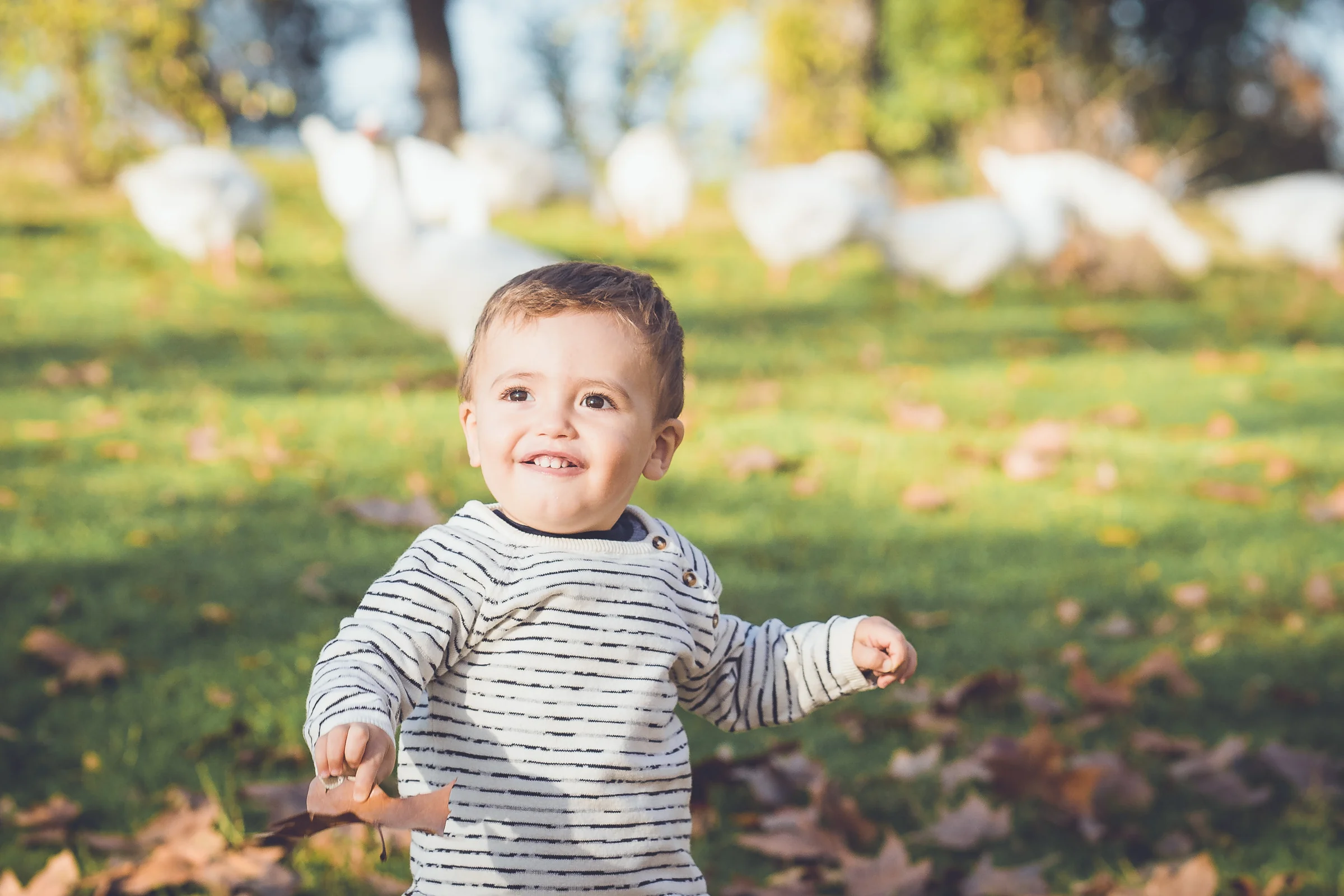 Niño pequeño sonríe a cámara sentado sobre el césped en un parque de otoño.