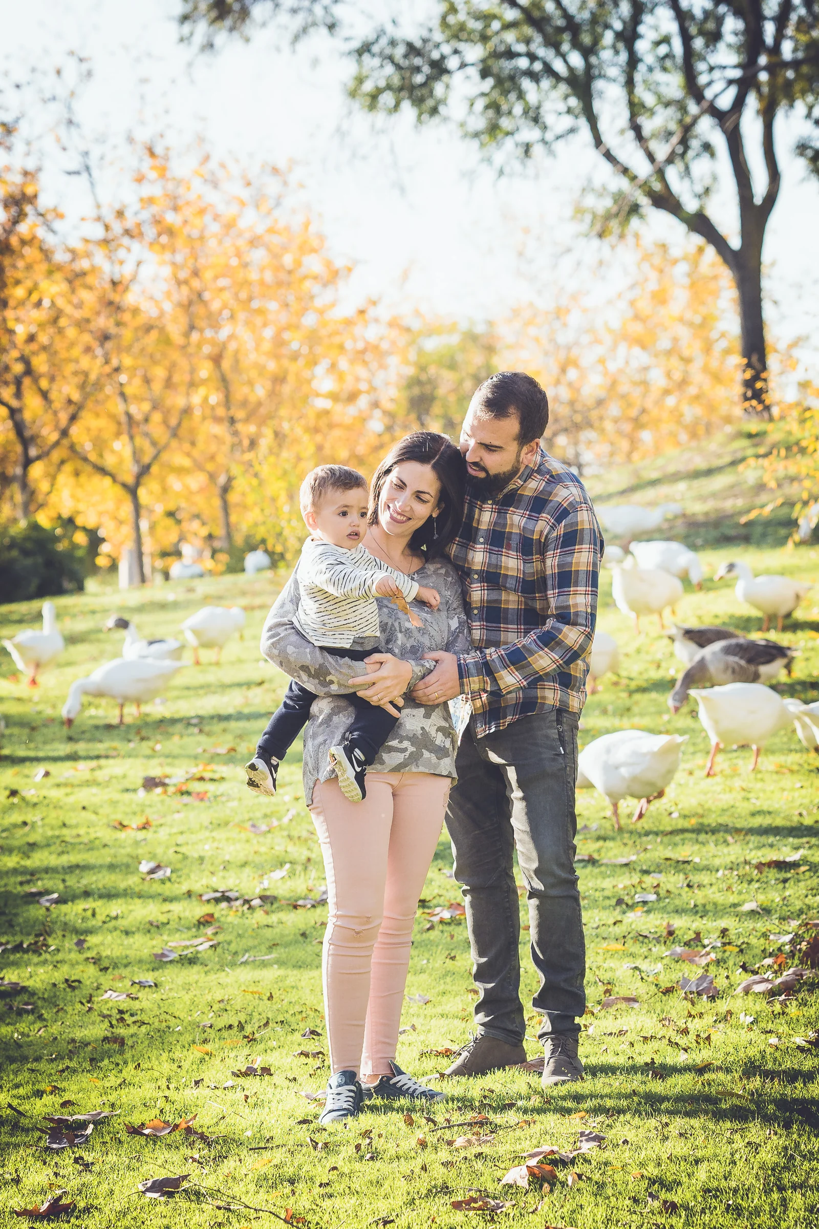 Familia de tres posa junta en un parque con varios gansos al fondo.