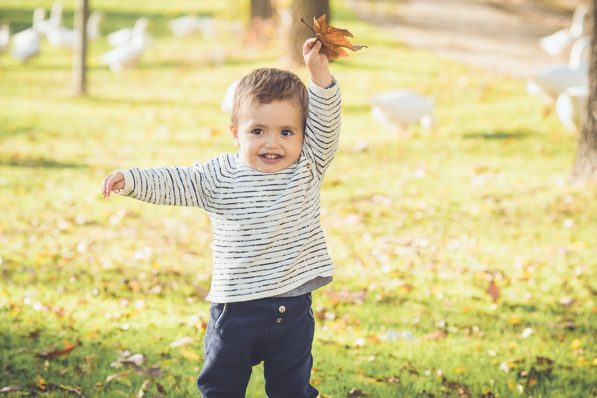 Niño pequeño levanta una hoja seca sobre su cabeza mientras sonríe en un parque otoñal.