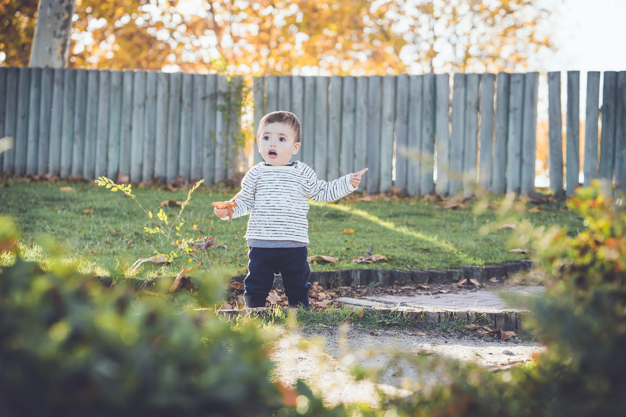 Niño pequeño se detiene en un parque otoñal rodeado de vegetación y hojas caídas.