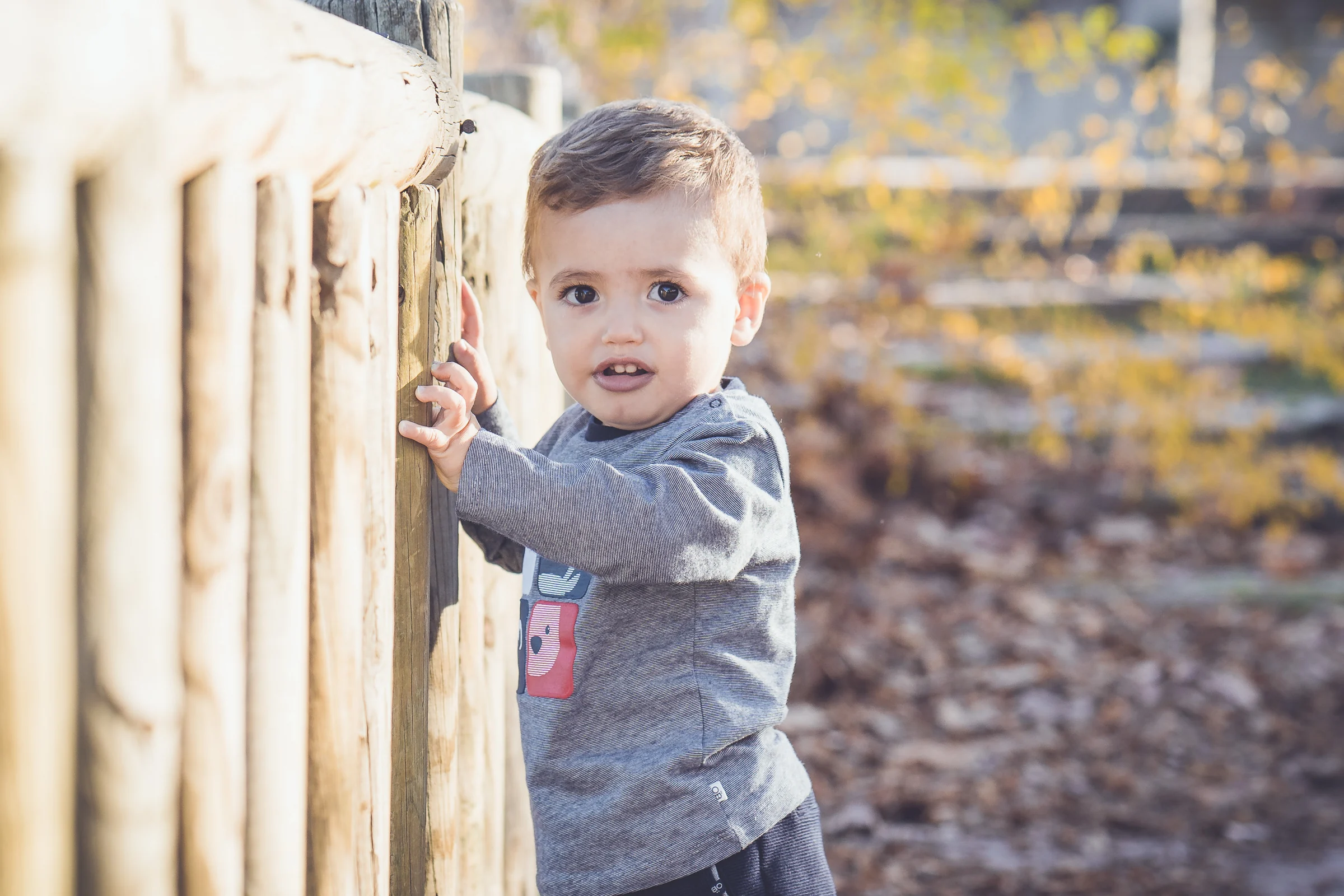 Niño pequeño se agarra a una valla de madera y mira a cámara durante una sesión en exterior.