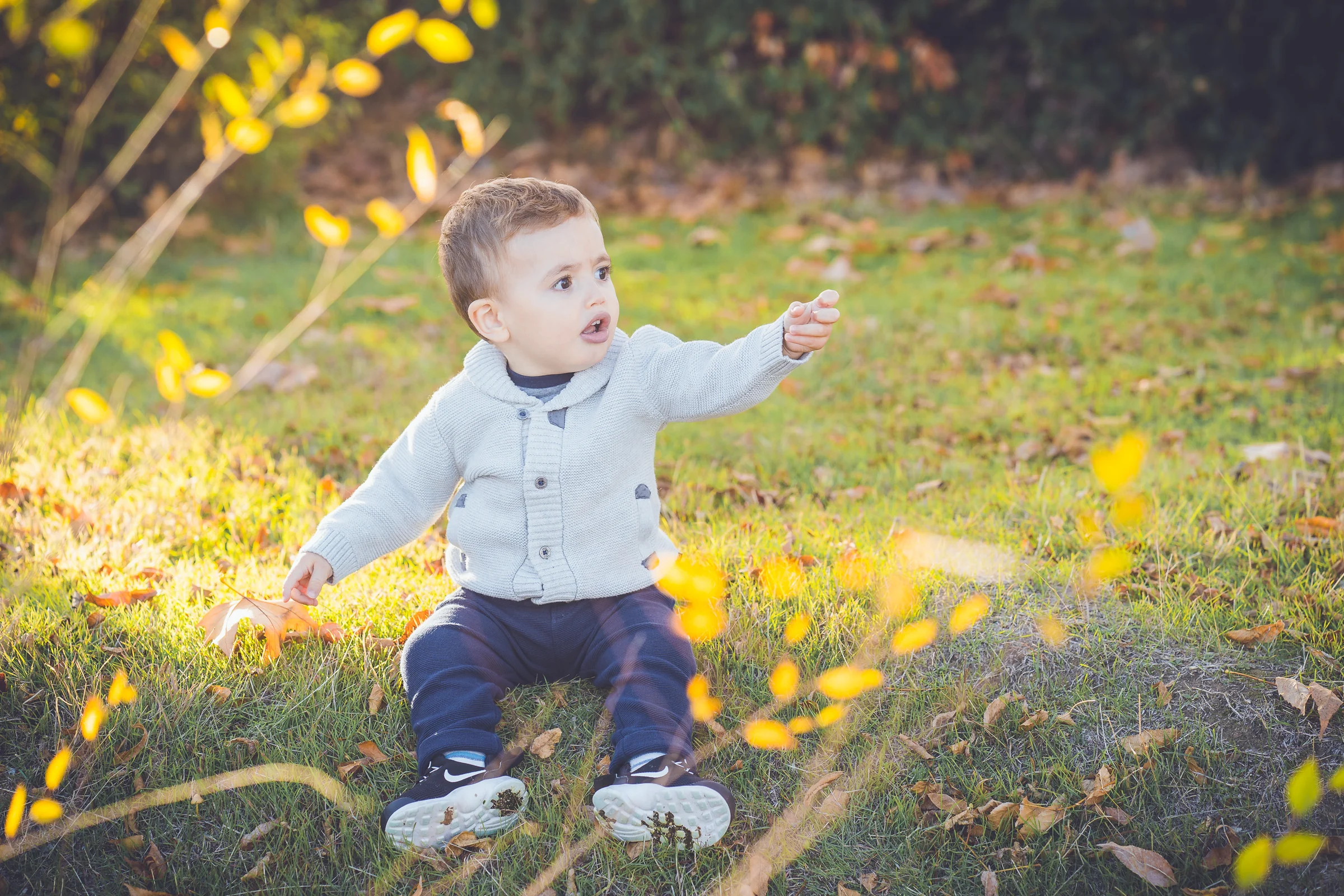 Niño pequeño sentado sobre la hierba señala algo mientras unas hojas iluminadas aparecen en primer plano.