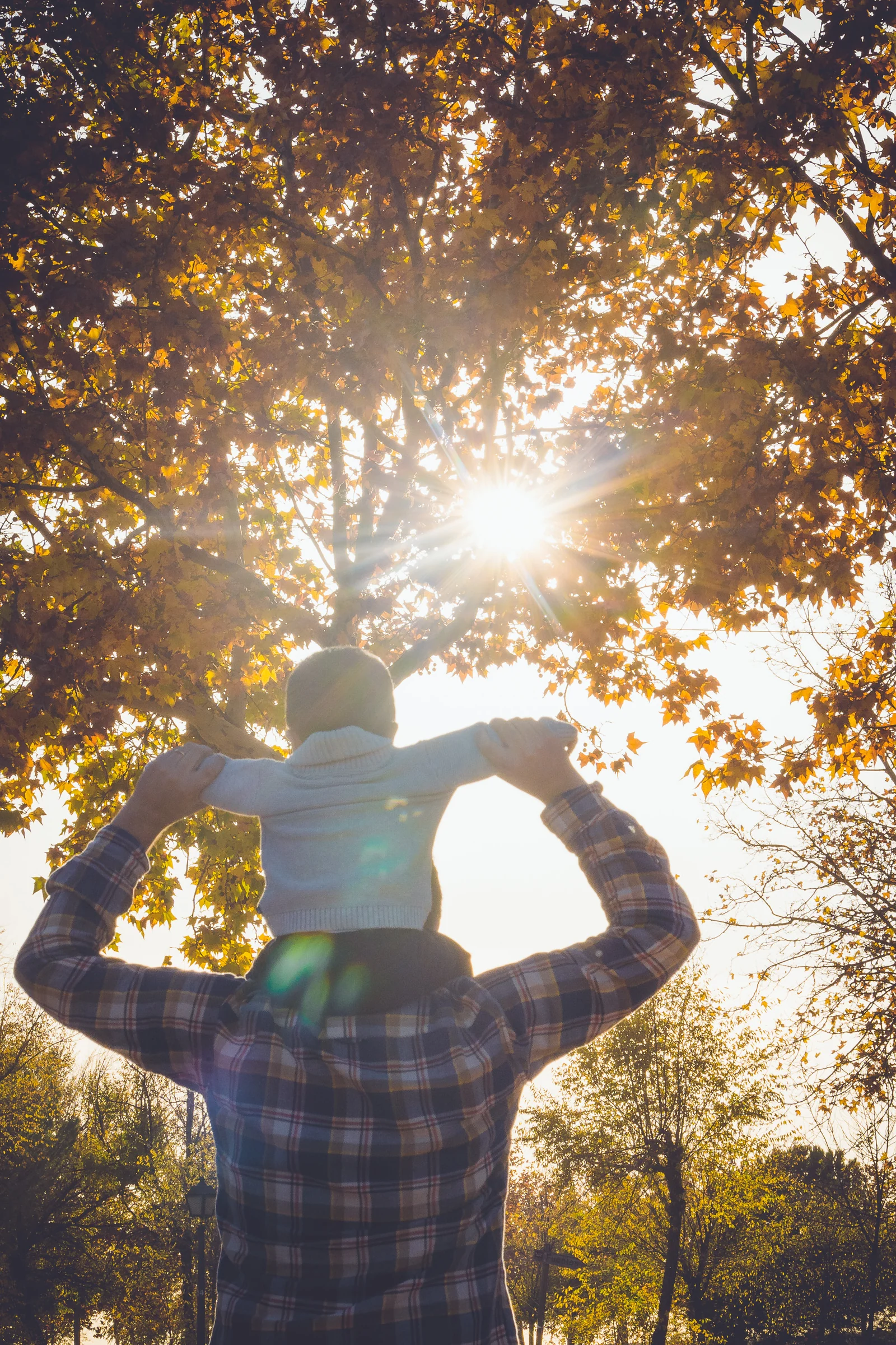 Padre levanta a su hijo pequeño bajo un árbol de hojas otoñales con el sol atravesando las ramas.