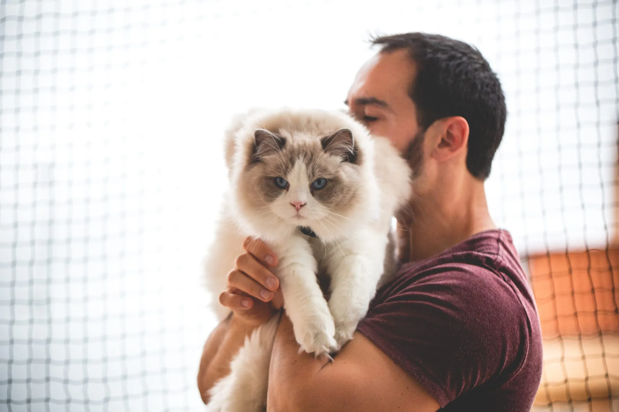Novio con su gato durante los preparativos durante una boda en Valquijancho.
